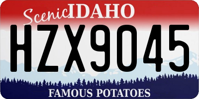 ID license plate HZX9045