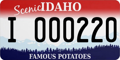 ID license plate I000220