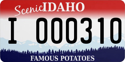 ID license plate I000310