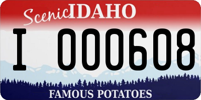 ID license plate I000608