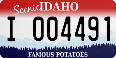 ID license plate I004491