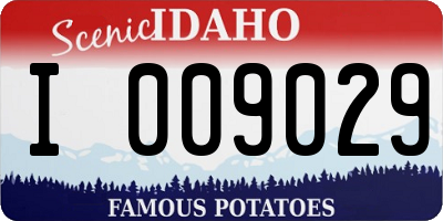 ID license plate I009029