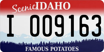 ID license plate I009163