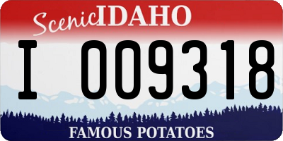 ID license plate I009318