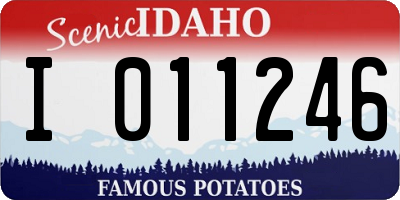 ID license plate I011246