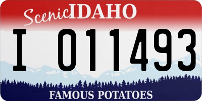 ID license plate I011493