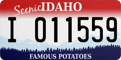 ID license plate I011559