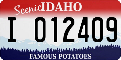 ID license plate I012409