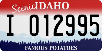 ID license plate I012995