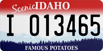 ID license plate I013465