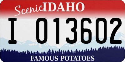 ID license plate I013602