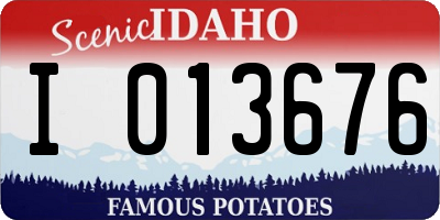 ID license plate I013676