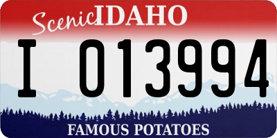 ID license plate I013994