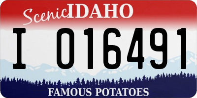 ID license plate I016491