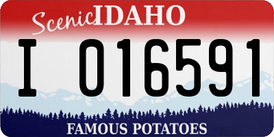 ID license plate I016591