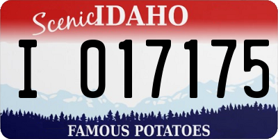 ID license plate I017175