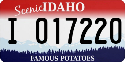 ID license plate I017220