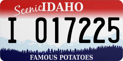 ID license plate I017225