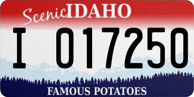 ID license plate I017250