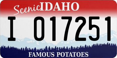 ID license plate I017251