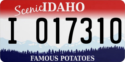 ID license plate I017310