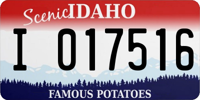 ID license plate I017516