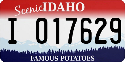 ID license plate I017629