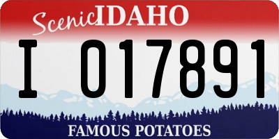 ID license plate I017891