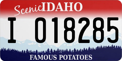 ID license plate I018285