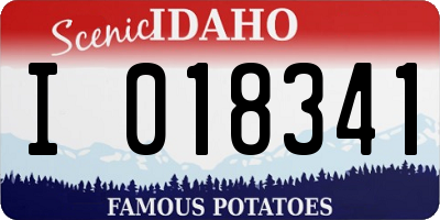 ID license plate I018341