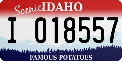 ID license plate I018557