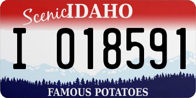ID license plate I018591