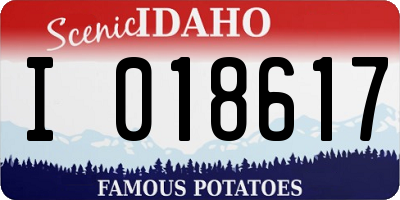 ID license plate I018617