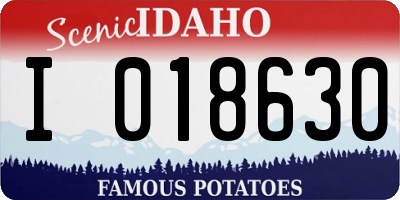 ID license plate I018630