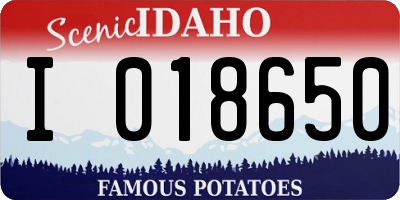 ID license plate I018650