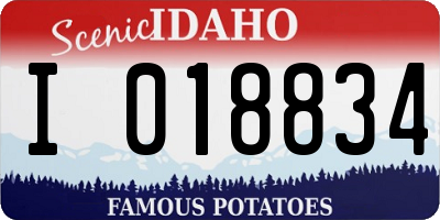 ID license plate I018834