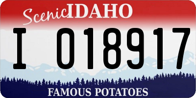 ID license plate I018917