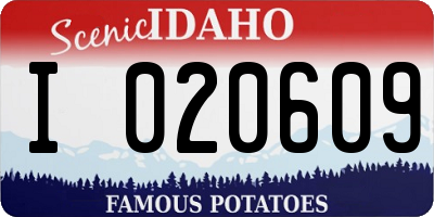 ID license plate I020609