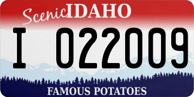ID license plate I022009