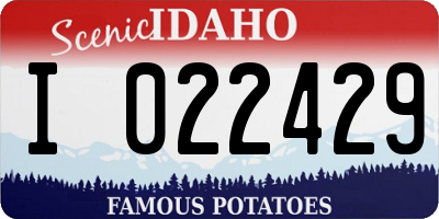 ID license plate I022429