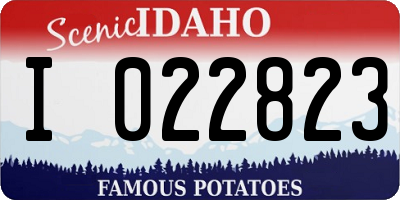 ID license plate I022823