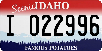 ID license plate I022996