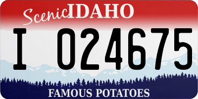 ID license plate I024675