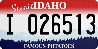 ID license plate I026513