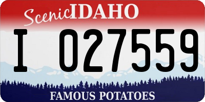 ID license plate I027559