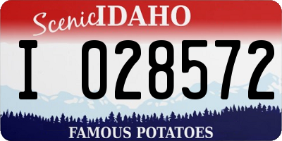 ID license plate I028572
