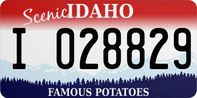 ID license plate I028829