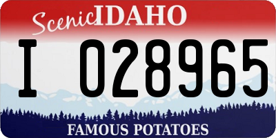 ID license plate I028965