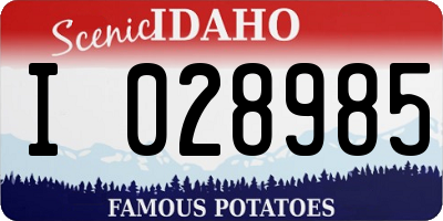 ID license plate I028985