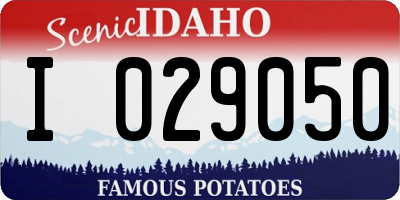 ID license plate I029050